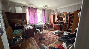 Кот-британец стал свидетелем полицейской облавы на притон в Челябинске