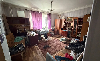 Кот-британец стал свидетелем полицейской облавы на притон в Челябинске