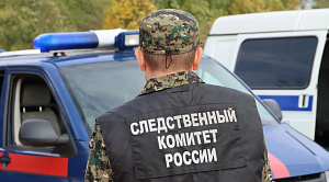 Поезд насмерть сбил женщину на юге Челябинской области