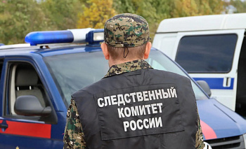 Поезд насмерть сбил женщину на юге Челябинской области