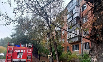Челябинские пожарные сняли 12-летнего мальчика с карниза