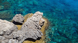 Челябинских туристов эвакуируют с застрявшего лайнера в Катаре