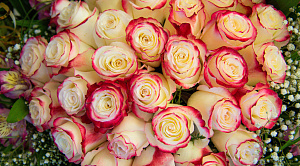 Мошенники тоже готовятся к 8 Марта: три главные «праздничные» схемы обмана