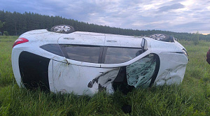 Водитель LADA погиб при столкновении с лосем в Челябинской области
