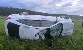 Водитель LADA погиб при столкновении с лосем в Челябинской области