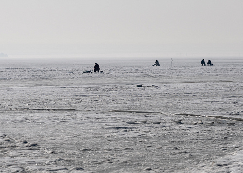 Ходят по тонкому льду: ради какой рыбы челябинцы рискуют жизнью