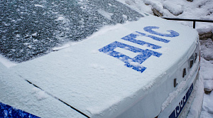 В Челябинской области водитель насмерть сбил женщину на пешеходном переходе