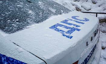В Челябинской области водитель насмерть сбил женщину на пешеходном переходе