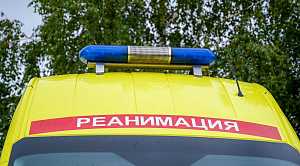 Дальнобойщик чуть не скончался под Челябинском из-за укуса осы