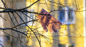 Выходные в Челябинской области подарят тепло