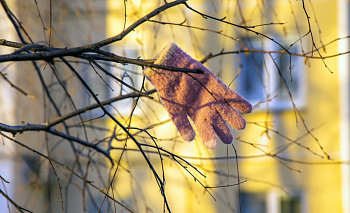 Выходные в Челябинской области подарят тепло