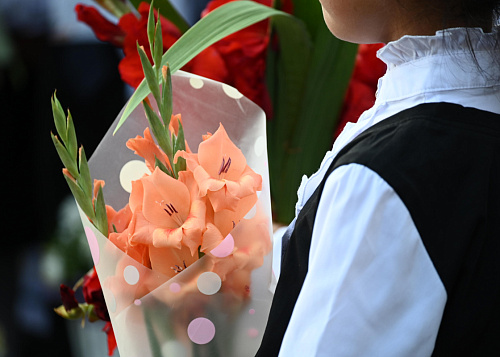 Приемная кампания в первые классы Челябинска стартует 27 марта