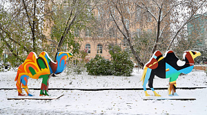 Караван в центре Челябинска: топ-5 мест для фото с арт-верблюдами