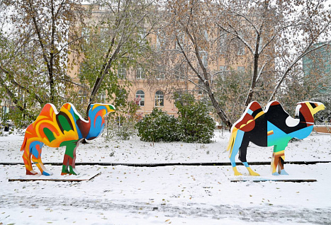 Караван в центре Челябинска: топ-5 мест для фото с арт-верблюдами