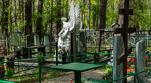 Известное кладбище Челябинска получит продолжение