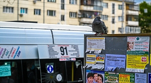 Челябинка пожаловалась на странное поведение водителей маршрутки №91