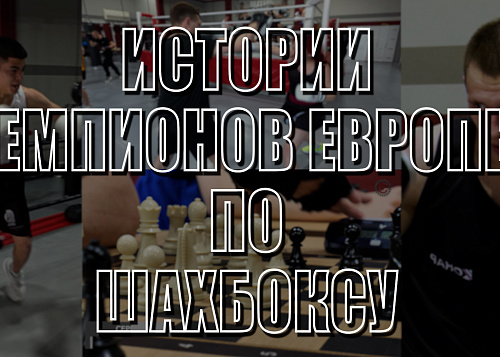 Истории чемпионов Европы по шахбоксу из Челябинска