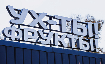 Финики-нелегалы: 43 тонны сладкого груза завернули на границе