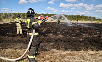Челябинская область пылает: пожарные выезжали 77 раз за день