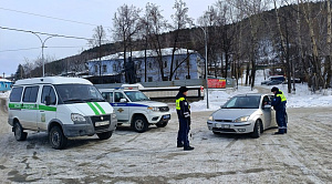 В Челябинской области за день раскрыли более 200 преступлений 