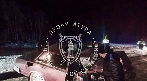 В Челябинской области будут судить юношу, устроившего ДТП с двумя погибшими