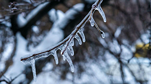 Стало известно, какой будет весна в Челябинской области