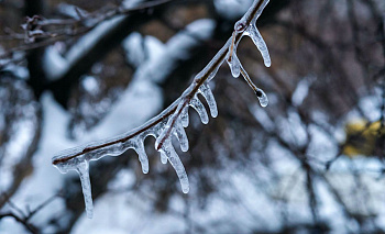 В Челябинской области оценили ситуацию с ОРВИ и гриппом