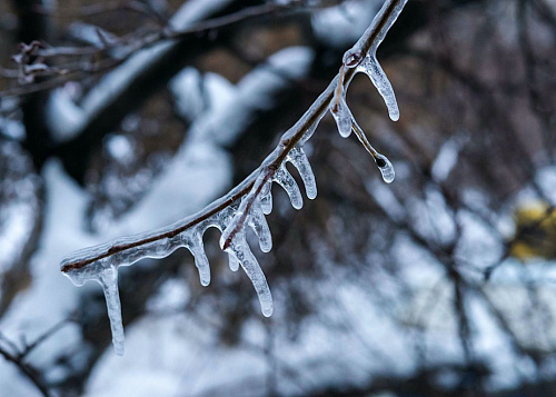 В Челябинской области оценили ситуацию с ОРВИ и гриппом