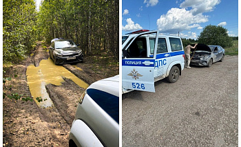 Водитель доверился навигатору и намертво застрял в лесу под Каслями