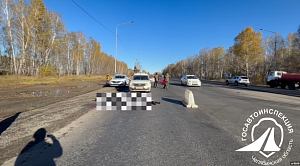 В Челябинской области лось отбросил копыта после встречи с Haval