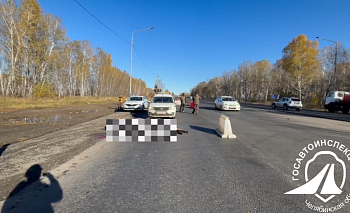 В Челябинской области лось отбросил копыта после встречи с Haval