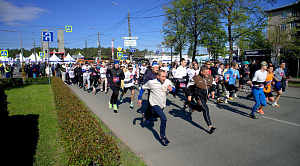 1500 человек пробежали по центру Челябинска во время боксерского марафона